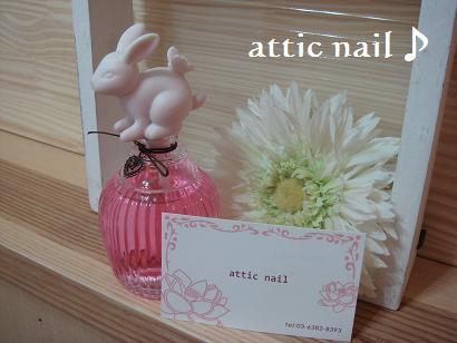 attic nail